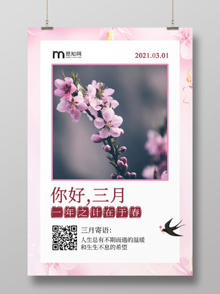 粉色简约桃花你好三月季节春季春天海报宣传3月你好